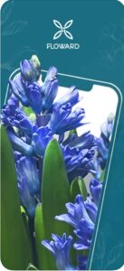 تحميل تطبيق فلاورد للآيفون Floward.6.32.0.ios.2025 آخر إصدار 6